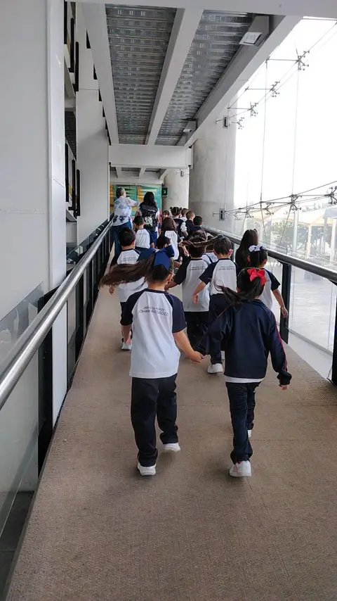 Visita al museo